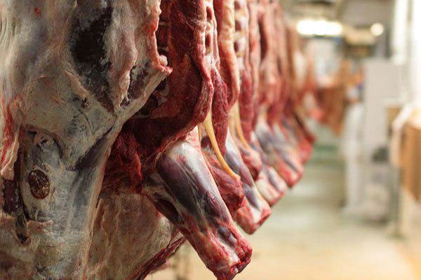 قاچاق معکوس دام بلای جان نرخ گوشت / اختلاف 30 درصدی قیمت گوشت به جیب دلالان می رود قاچاق معکوس دام بلای جان نرخ گوشت / اختلاف 30 درصدی قیمت گوشت به جیب دلالان می رود